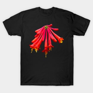 Red Honeysuckle flower T-Shirt